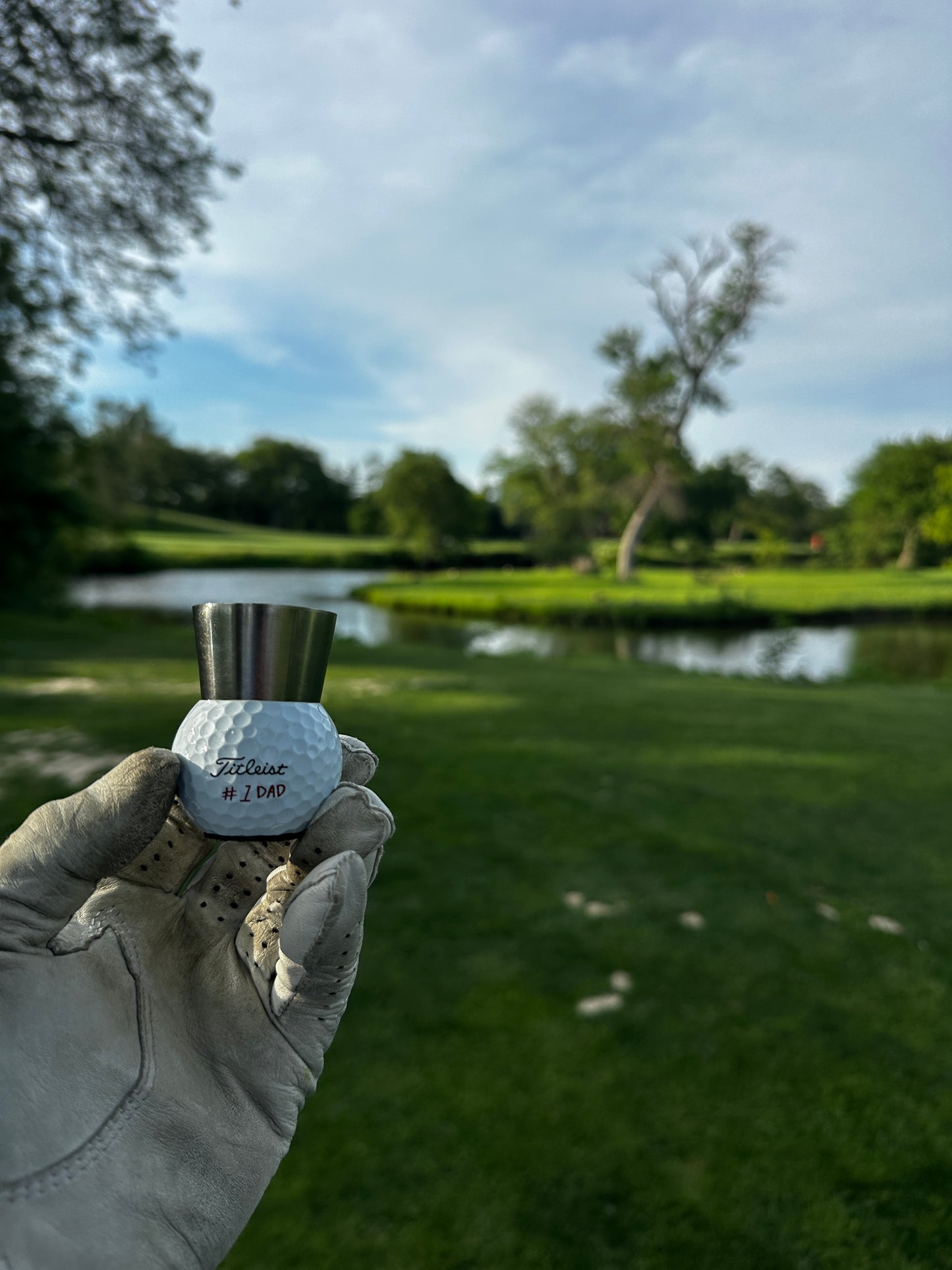 Father’s Day Birdie Shots set of 4